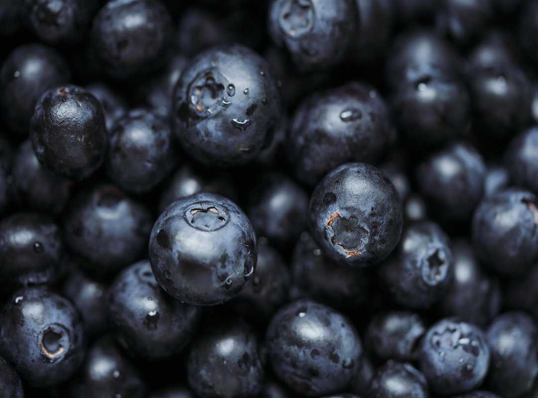 nutrition superfoods masterclass