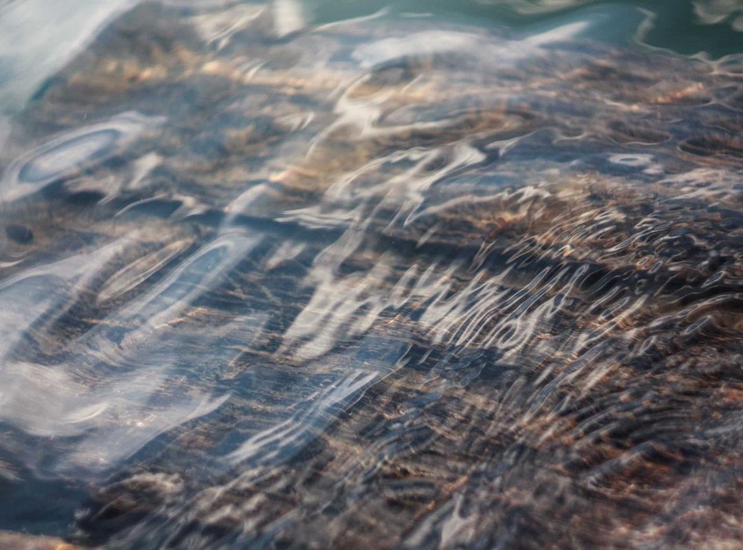 The Mental Reset: Why Downtime is Crucial for Preventing Burnout